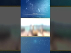 BVEM Vibro Compaction Piling hydraulische vibroflot graafmachine uitgerust met een gedeeld hydraulisch aandrijfsysteem